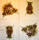 168 Cows - 3-ply - Ihr